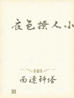 夜色撩人小说