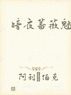 暗夜蔷薇魅封面