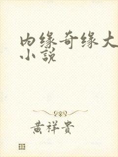 内缘奇缘大团圆小说