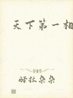 天下第一相书封面