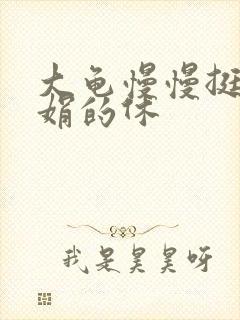 大龟慢慢挺进张娟的休