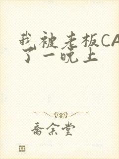 我被老板CAO了一晚上