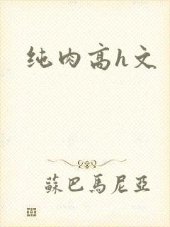 纯肉高h文