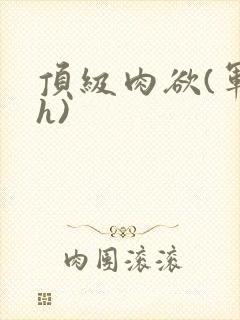 顶级肉欲(军高h)