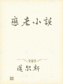 恋老小说封面