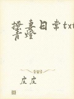 撩妻日常txt青灯封面