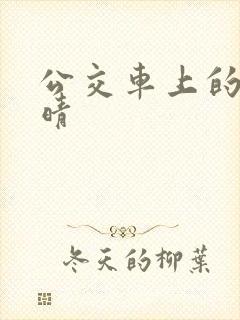 公交车上的诗请晴