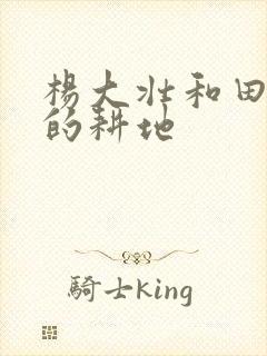 杨大壮和田桂花的耕地封面