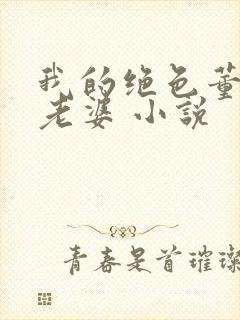 我的绝色董事长老婆 小说封面