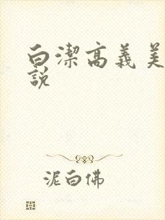 白洁高义美红小说封面