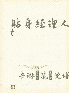 贴身经理人txt封面