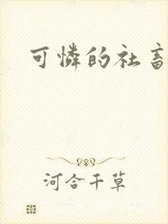 可怜的社畜小说