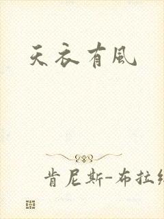 天衣有风封面