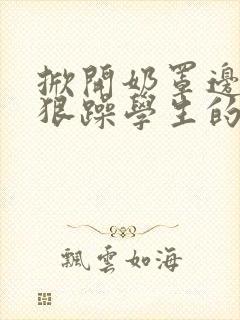 掀开奶罩边躁狠狠躁学生的小文字