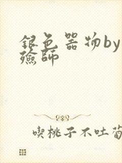 银色器物by入殓师封面