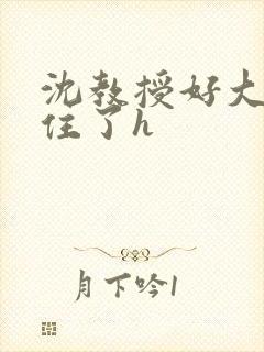 沈教授好大含不住了h