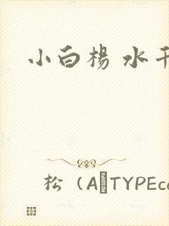 小白杨 水千丞封面