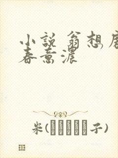 小说 翁想房中春意浓