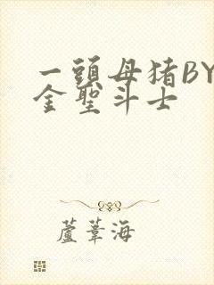 一头母猪BY黄金圣斗士