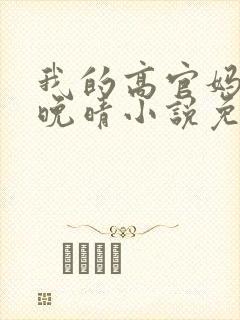 我的高官妈妈苏晚晴小说免费阅读