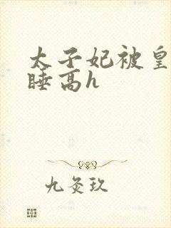 太子妃被皇上强睡高h