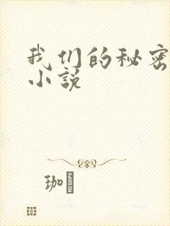 我们的秘密泰剧小说