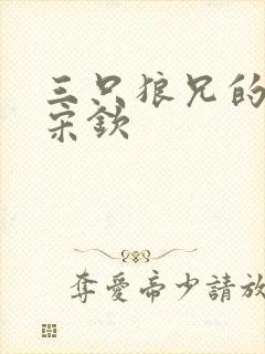 三只狼兄的宠妻宋钦