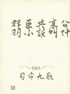 群臣共享公主银羽小说叫什么