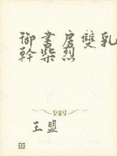 御书房双乳晃动干柴烈封面