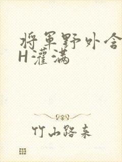 将军野外含公主H灌满封面