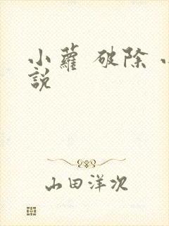 小萝 破除 小说