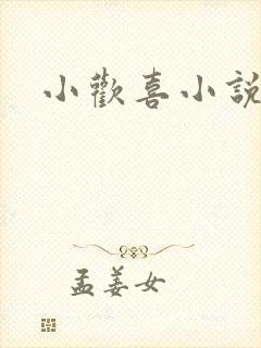 小欢喜小说封面