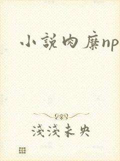 小说肉糜np