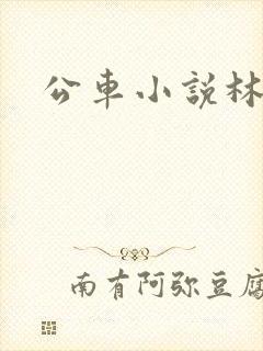 公车小说林蔓蔓
