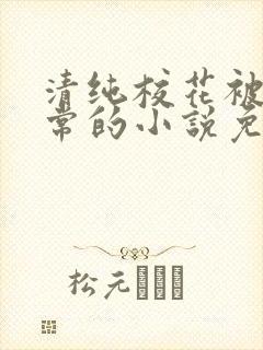 清纯校花被擒日常的小说免费阅读