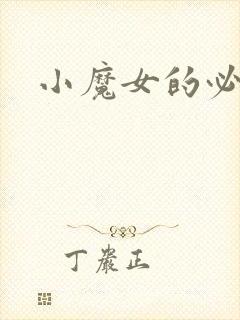 小魔女的必杀技封面
