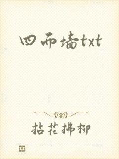 四面墙txt封面