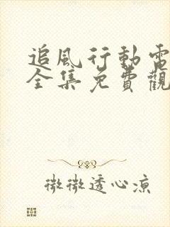 追风行动电视剧全集免费观看