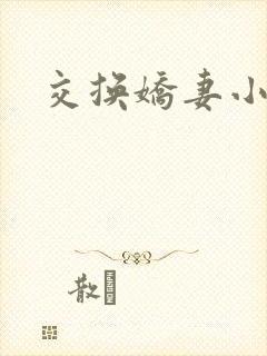 交换娇妻小说