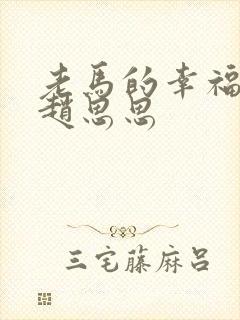 老马的幸福生活赵思思