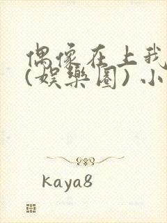 偶像在上我在下(娱乐圈) 小说免费阅读