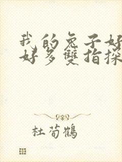 我的兔子好软水好多双指探洞小说封面