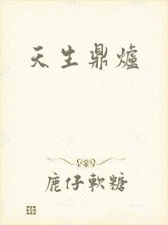天生鼎炉封面