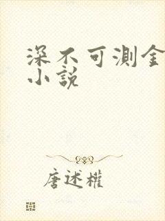 深不可测金银花小说