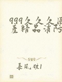 999久久久国产精品消防器材封面