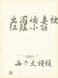 出国娇妻被黑人征服小说封面