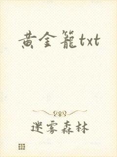 黄金笼txt