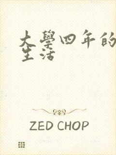 大学四年的贱奴生活