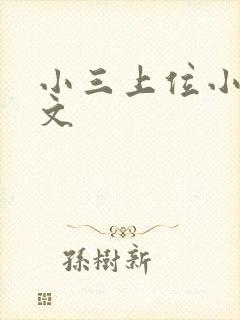 小三上位小说全文封面