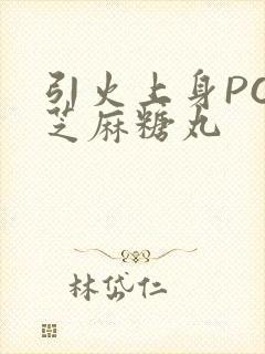 引火上身POP芝麻糖丸